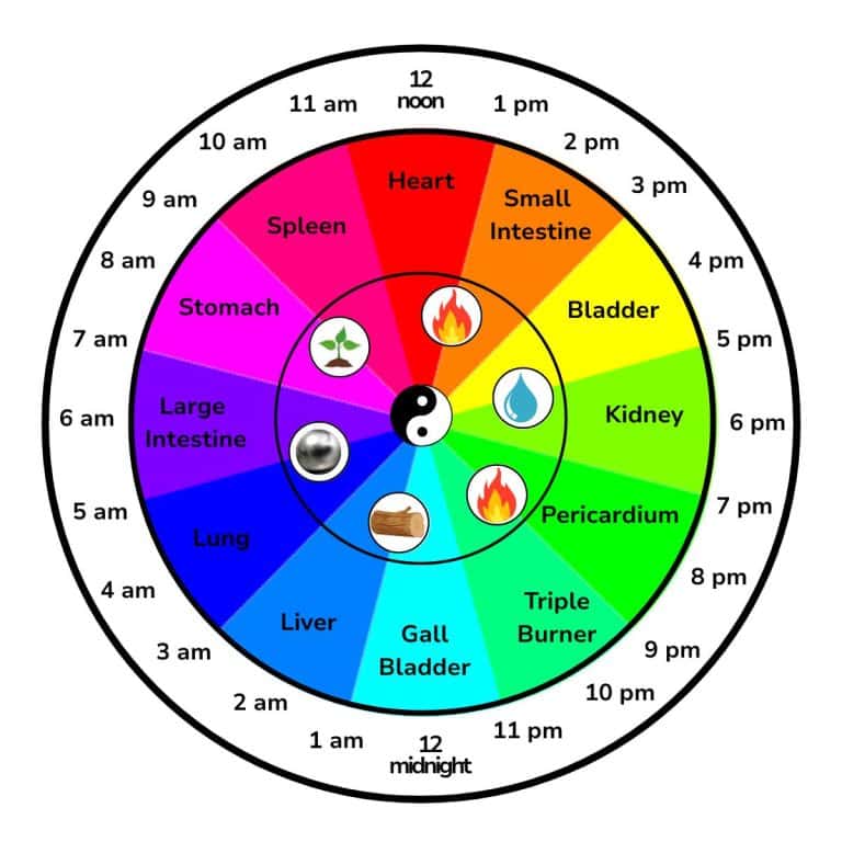 Can the Chinese Body Clock Help with Gut Health? - Healthy World Cuisine