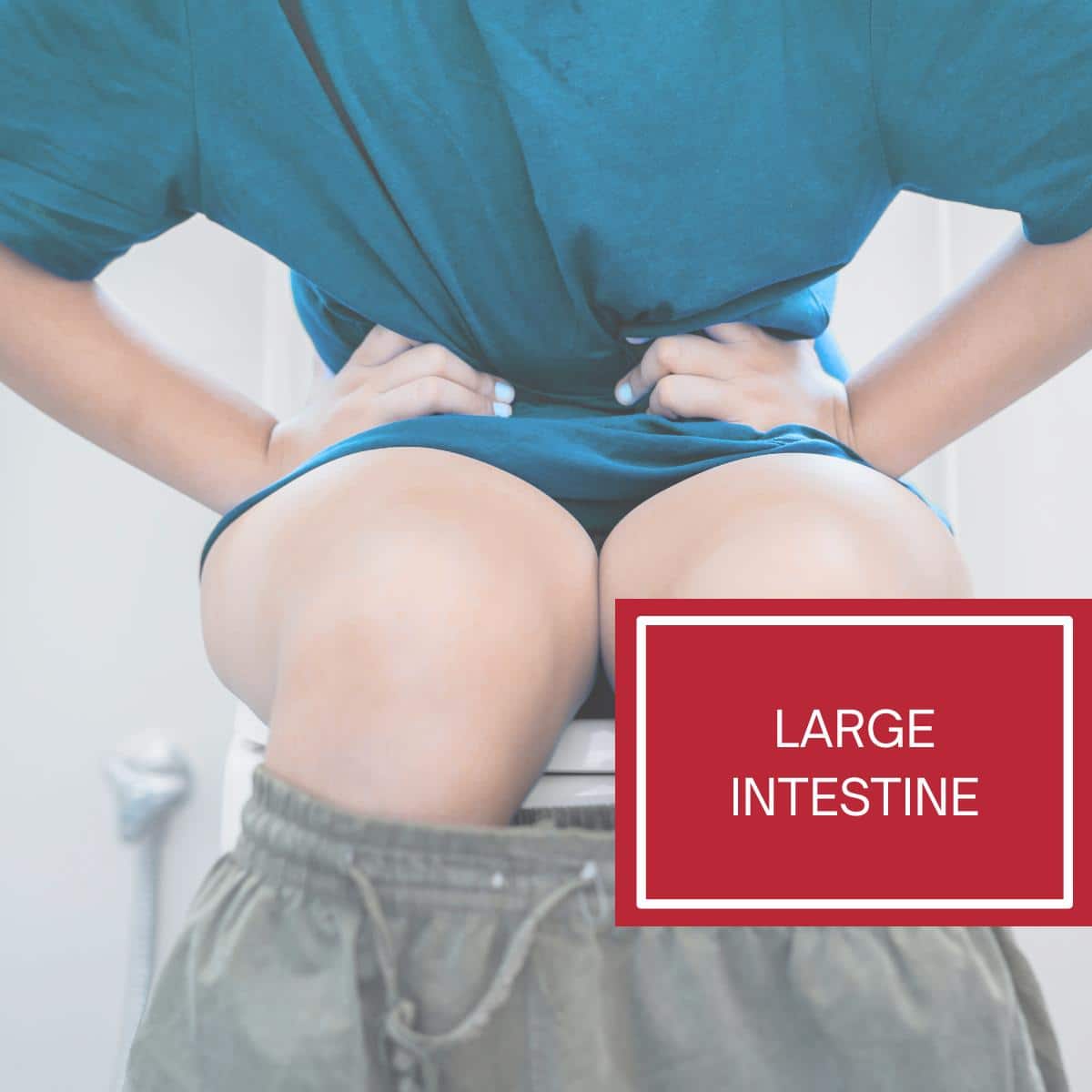 Person with an aqua marine shirt pretending to be sitting on the toilet evacuating for gut health.