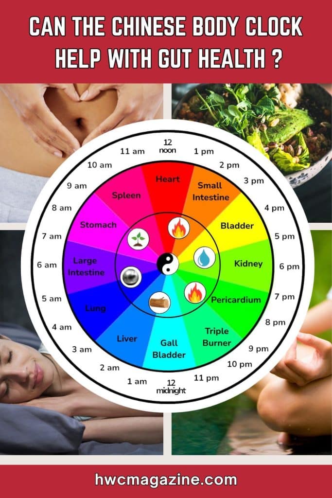 A diagram of the Chinese Medicine body clock with photos of eating and sleeping around the organ clock.