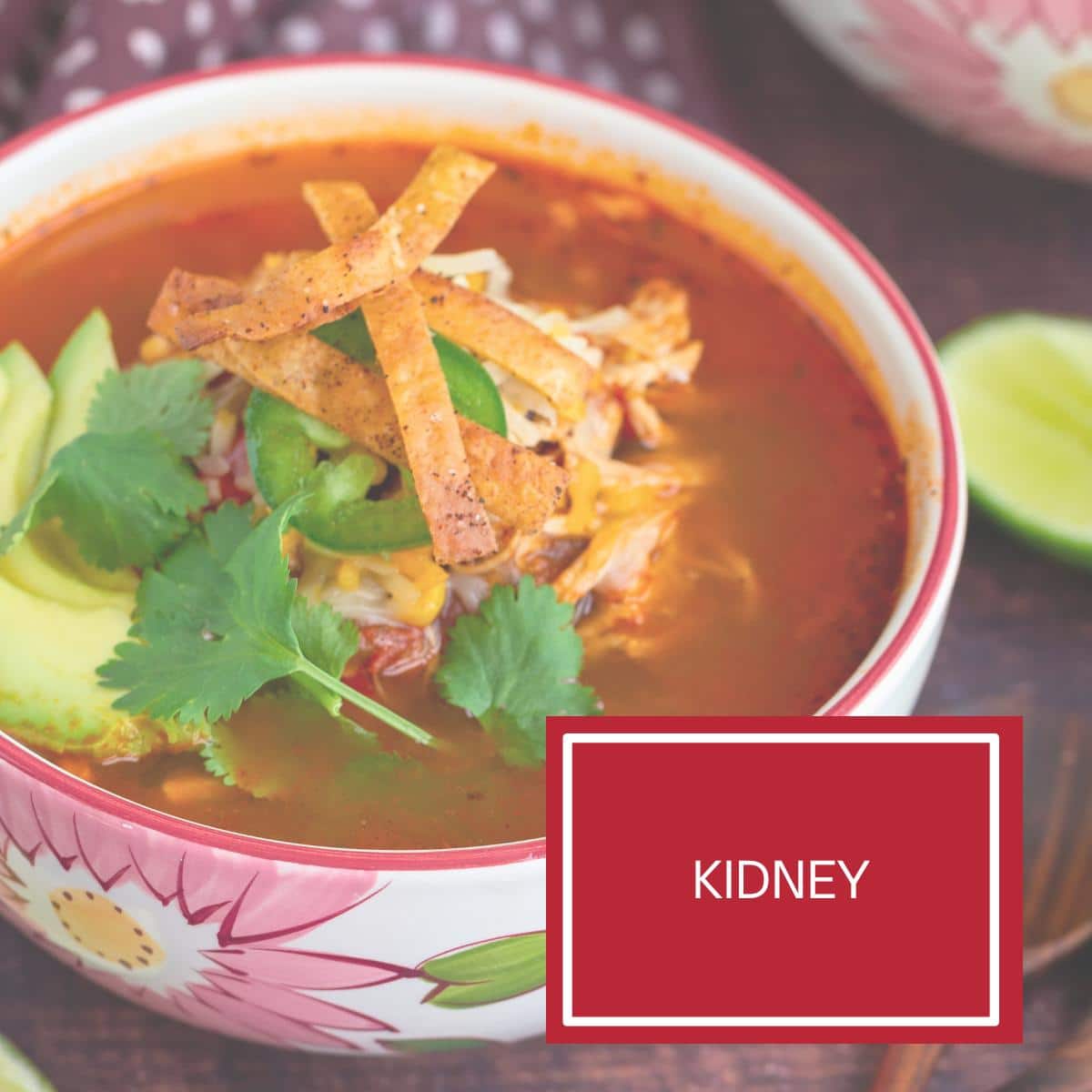 A photo of Chicken tortilla soup with black beans for the kidney organ. 