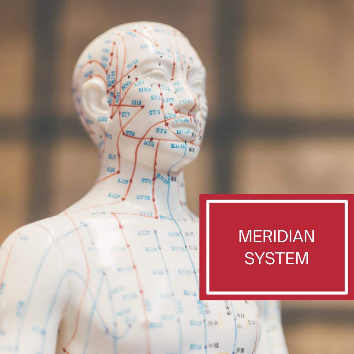 Tong Ren - The Chinese acupuncture doll showing the meridian system and acupuncture points.