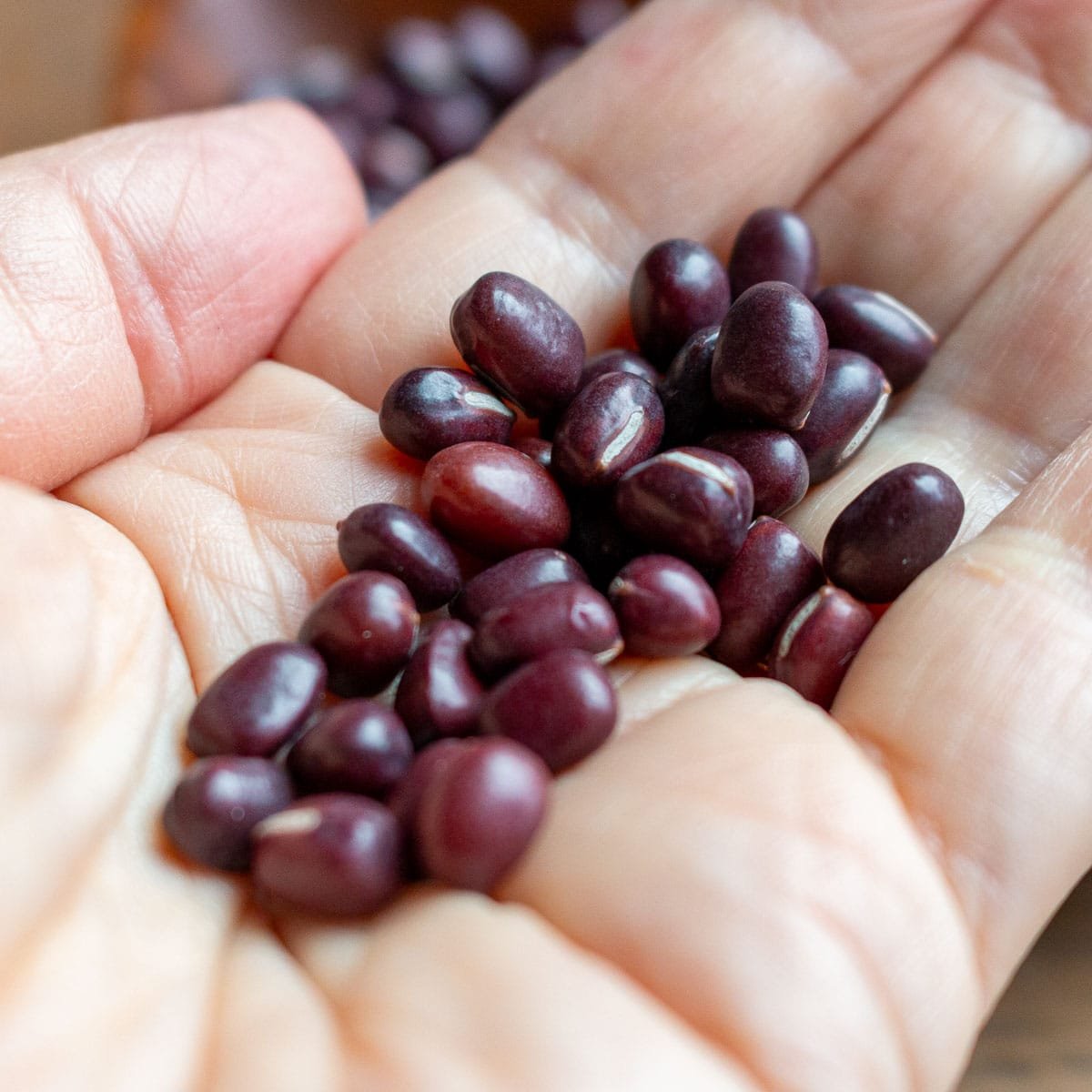 handful of dried azuki red beans