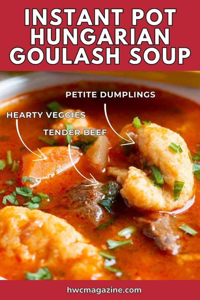 Instant Pot Hungarian Goulash showing the tender beef, vegetables and petite dumplings.
