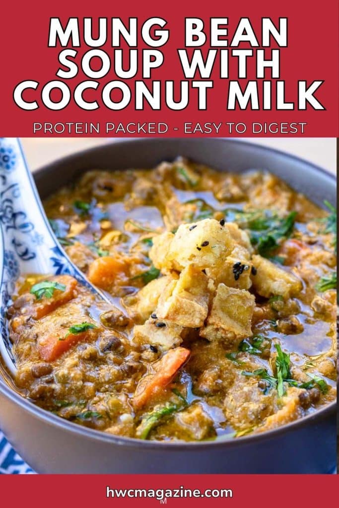 Hearty thick Mung bean soup in a bowl bowl with blue and white Asian soup spoon.