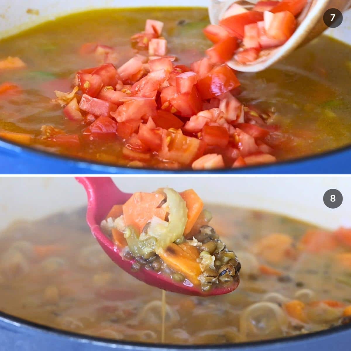 Adding in the tomatoes and showing how the mung beans start to break down in the soup.