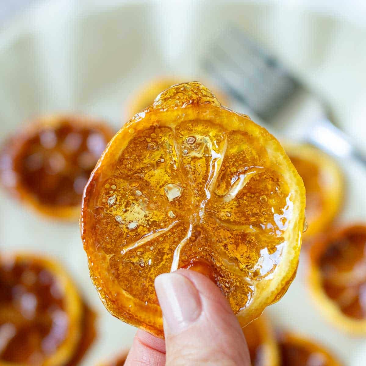 A prepared honey lemon candied slice held up to the light so you can see the stained glass chewy coating.